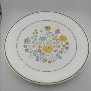 2 Corelle Meadow Dinner Plate 10” - set of 2